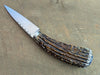 Sgian Dubh - Stag 518